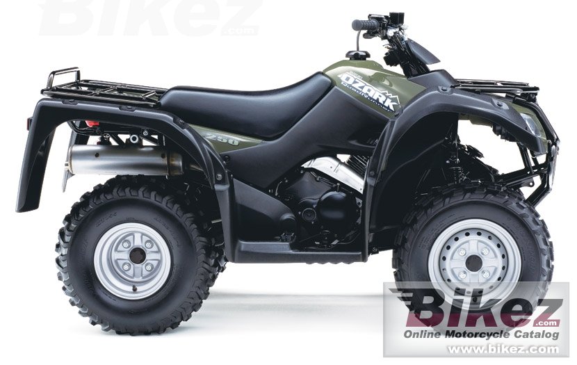 Suzuki Ozark 250 poster